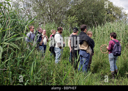 ENTDECKEN SIE DIE FLORA UND FAUNA DES MARAIS VERNIER MIT EINEM GUIDE DURCH DIE NORMANDIE REGIONALPARK, EURE (27), NORMANDIE, FRANKREICH Stockfoto