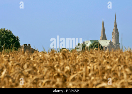 CATHEDRALE DE CHARTRES VUE DES CHAMPS DE BLE, EURE-ET-LOIR (28), FRANKREICH Stockfoto