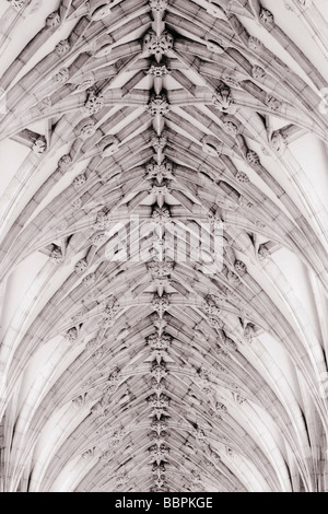 Decke des Kirchenschiffes in Winchester Cathedral, Winchester, Hampshire, England, Vereinigtes Königreich Stockfoto