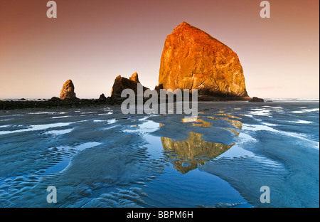 Berühmte Haystack Rock, Monolith, erstarrte Lava-Gestein spiegelt sich in den Gezeiten Pool in Cannon Beach, Touristenattraktion, Clatsop C Stockfoto