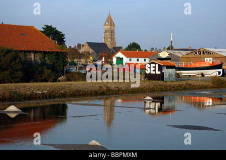 DIE SALZWIESEN VOR DEM DORF VON NOIRMOUTIER, VERKAUF VON SALZ, ILE DE NOIRMOUTIER, FRANKREICH VENDEE (85) Stockfoto