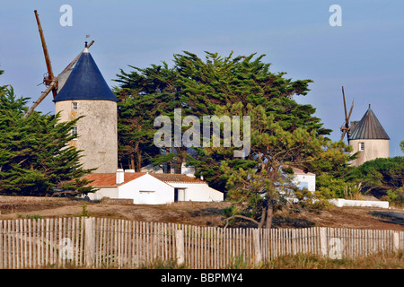 DIE BARBATRE MÜHLEN, INSEL NOIRMOUTIER, VENDEE (85), FRANKREICH Stockfoto