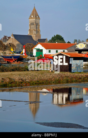 DIE SALZWIESEN VOR DEM DORF VON NOIRMOUTIER, ÎLE DE NOIRMOUTIER, VENDEE (85), FRANKREICH Stockfoto