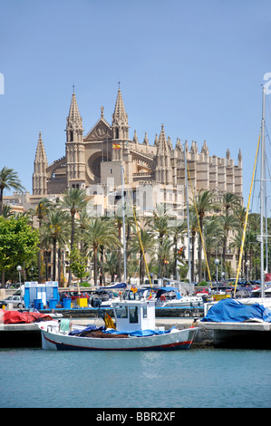 Kathedrale von Palma vom Hafen Palma De Mallorca, Palma Stadt, Mallorca, Balearen, Spanien Stockfoto