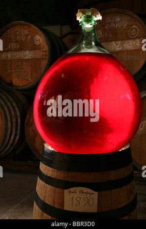 KORBFLASCHE ALTEN COGNAC AUS DEM JAHRE 1890 IN EINEM WEINKELLER, EAU-DE-VIE AUS EINER APPELLATION ORIGINE CONTROLEE, CHARENTE (16) Stockfoto