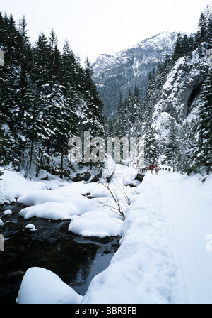 Polen Tatra Dolina Koscieliska Tal und Touristen Stockfoto