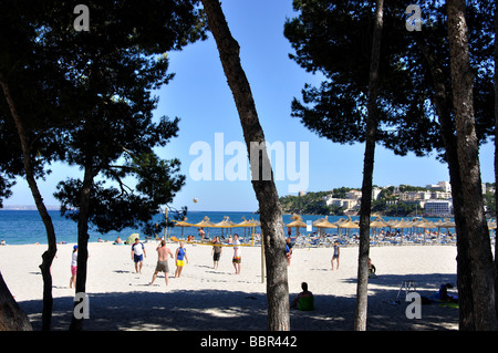 Strandblick, Palmanova, Gemeinde Calvia, Mallorca, Balearen, Spanien Stockfoto