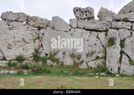 Gozo Ggantija Tempel Stockfoto