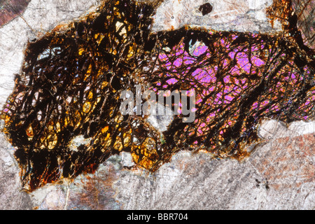 Troctolite Gabbro Folie Abschnitt Kreuz polarisiertes Licht Mikrophotographie, Cornwall, UK Stockfoto