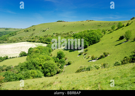 Ansicht Osten Süden dämmert Weg, Devils Dyke Stockfoto