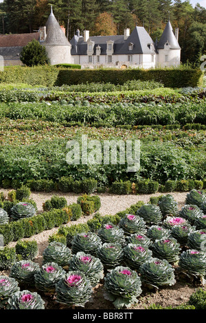 DIE GEMÜSEGÄRTEN IM CHATEAU DE LA CHATONNIERE, AZAY-LE-RIDEAU, INDRE-ET-LOIRE (37), FRANKREICH Stockfoto