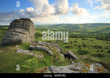 Blick vom Bonehill Felsen in Richtung Widecombe im Sommer, Dartmoor, Devon, England, UK Stockfoto
