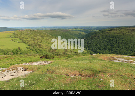 Blick vom scharfen Tor über Dart-Schlucht, mit Mel Tor in Ferne links im Sommer, Dartmoor, Devon, England, UK Stockfoto