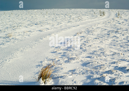 Moorland verfolgen auf den Leiter Hügeln oberhalb Strathdon, Aberdeenshire. Stockfoto