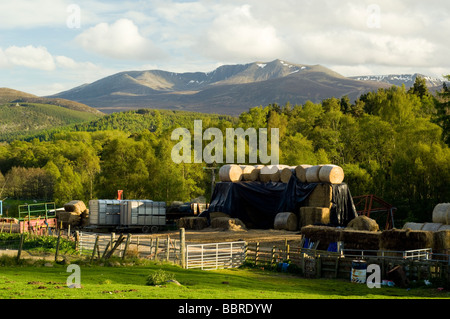 Lochnagar Berg in den Cairngorms, erhebt sich über einem Bauernhof in der Nähe von Crathie in Aberdeenshire. Stockfoto