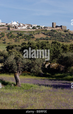 FELDER VON BLUMEN IN DER NÄHE VON MONSARAZ, ALENTEJO, PORTUGAL Stockfoto