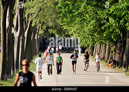 PROMENADE FÜR FUßGÄNGER UND RADFAHRER AUF DEN SCHATTIGEN WÄLLEN, DIE GEHEN DURCH DIE STADT LUCCA, TOSKANA, ITALIEN Stockfoto