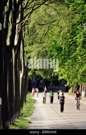 PROMENADE FÜR FUßGÄNGER UND RADFAHRER AUF DEN SCHATTIGEN WÄLLEN, DIE GEHEN DURCH DIE STADT LUCCA, TOSKANA, ITALIEN Stockfoto