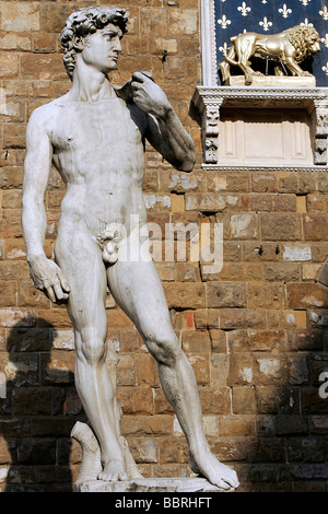 STATUE DE DAVID DE MICHEL ANGE DEVANT LE PALAZZO VECCHIO, PIAZZA DELLA SIGNORIA, FLORENZ, TOSKANA, ITALIEN Stockfoto