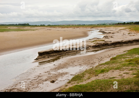 Salzwiesen und Watten auf Morecambe Bay in Humphrey Head in der Nähe von Flookburgh. Stockfoto