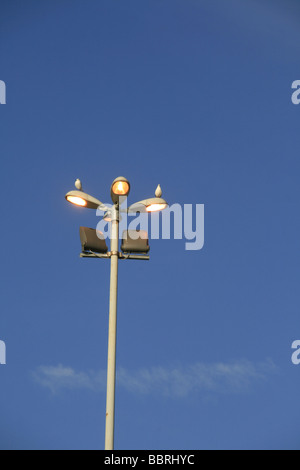 zwei Vögel auf Glühbirnen Lampe post in Stadt Stockfoto