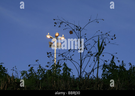 zwei Vögel auf Glühbirnen Lampe post in Stadt Stockfoto