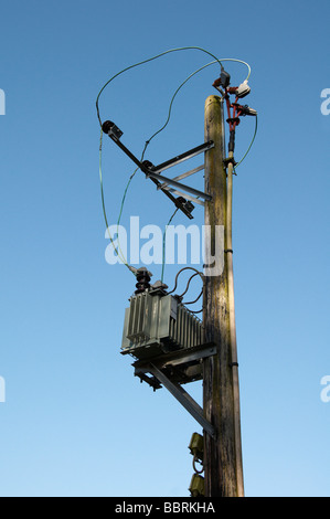 Eine Holzstange mit Stromleitung und Transformator an der Spitze Stockfoto