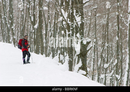 Bergsteiger mit Schneeschuhen im Winter in einer schneebedeckten Waldlandschaft Stockfoto