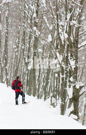 Bergsteiger mit Schneeschuhen im Winter in einer schneebedeckten Waldlandschaft Stockfoto