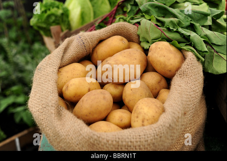 Kartoffeln in meschotschek Stockfoto