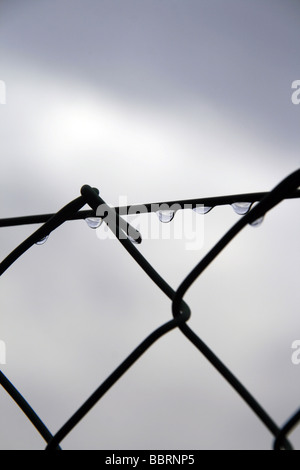 Regentropfen auf Metallzaun und dunklen Himmel Stockfoto