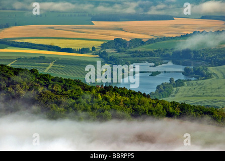 Ungarn Baranya county Villany Szarhegy Panorama Wasser See Landschaft Morgen Sonnenaufgang Dawn Dunst dunstigen Weinregion Pflanze Strukturansicht Stockfoto