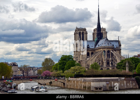 Frankreich Paris Notre Dame gotischen Kathedrale katholische Kirche Seine Flusswasser Schiff trüb bewölkte Himmel Bäume Insel Pflanze Blüte Stockfoto