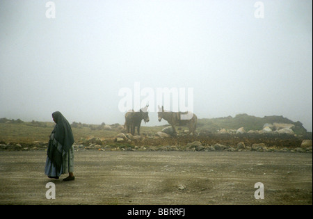 Nebel in El Alto de Warisata. Die Straße verbindet La Paz mit dem Titikaka-See Stockfoto