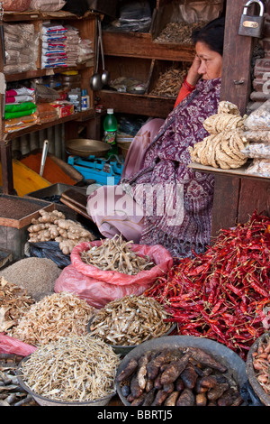 Kathmandu, Nepal.  Nepali Anbieter von getrocknetem Fisch, Paprika, Ingwer und Reis erwartet Kunden auf dem Durbar Square-Markt. Stockfoto