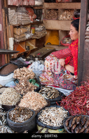 Kathmandu, Nepal.  Nepali Anbieter von getrocknetem Fisch, Paprika, Ingwer und Reis erwartet Kunden auf dem Durbar Square-Markt. Stockfoto