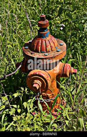 Orange Hydranten. Stockfoto