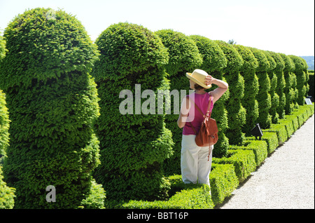 Topiary Garten am Schloss Hautefort in der Dordogne-Frankreich Stockfoto