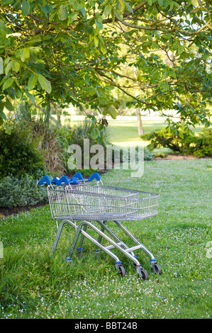 Verlassene Einkaufswagen Stockfoto