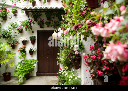 Mai, Terrassen, in Cordoba, Bougainvillea, Patio, Wettbewerb, andalusische, Patio, Andalusien, Spanien, Mittelmeer, Blumen, Mediterran Stockfoto