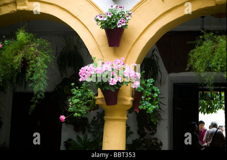 Mai, Terrassen, in Cordoba, Bougainvillea, Patio, Wettbewerb, andalusische, Patio, Andalusien, Spanien, Mittelmeer, Blumen, Mediterran Stockfoto