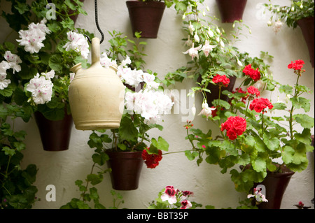 Mai, Terrassen, in Cordoba, Bougainvillea, Patio, Wettbewerb, andalusische, Patio, Andalusien, Spanien, Mittelmeer, Blumen, Mediterran Stockfoto