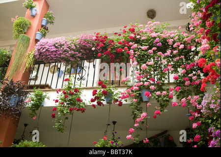 Mai, Terrassen, in Cordoba, Bougainvillea, Patio, Wettbewerb, andalusische, Patio, Andalusien, Spanien, Mittelmeer, Blumen, Mediterran Stockfoto