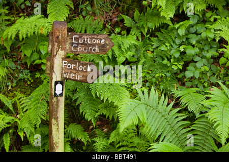 Ein Schild an der South West Coast Path in einem Wald in der Nähe von Porlock in North Devon UK Stockfoto