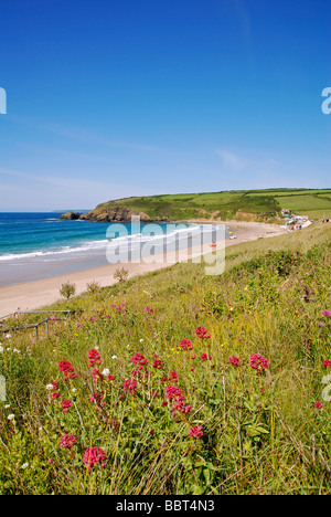 Frühsommer am felsfreie Sand in der Nähe Helston in Cornwall, Großbritannien Stockfoto