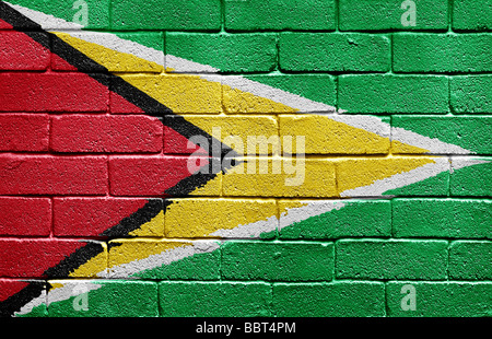 Flagge von Guyana Stockfoto