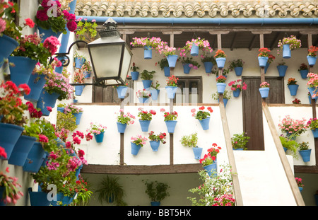 Mai, Terrassen, in Cordoba, Bougainvillea, Patio, Wettbewerb, andalusische, Patio, Andalusien, Spanien, Mittelmeer, Blumen, Mediterran Stockfoto