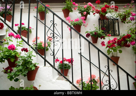 Mai, Terrassen, in Cordoba, Bougainvillea, Patio, Wettbewerb, andalusische, Patio, Andalusien, Spanien, Mittelmeer, Blumen, Mediterran Stockfoto