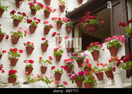 Mai, Terrassen, in Cordoba, Bougainvillea, Patio, Wettbewerb, andalusische, Patio, Andalusien, Spanien, Mittelmeer, Blumen, Mediterran Stockfoto