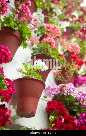 Mai, Terrassen, in Cordoba, Bougainvillea, Patio, Wettbewerb, andalusische, Patio, Andalusien, Spanien, Mittelmeer, Blumen, Mediterran Stockfoto